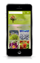 responsive web design flower #00016