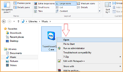 vnvn web design remote support window