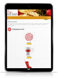 responsive web design giftshop #00024