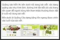 thiết kế web chèn quảng cáo vào cuối bài viết